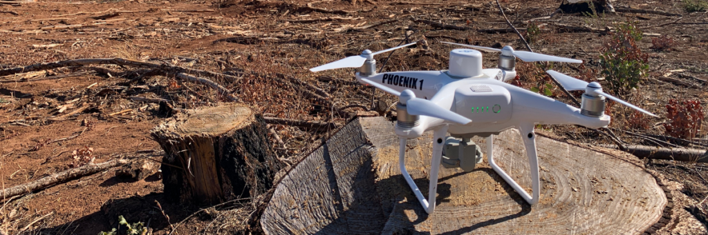 the fresh stump of a tree with a high tech drone sitting on it