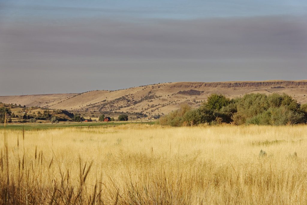 Central Oregon landscape view of grasslands
