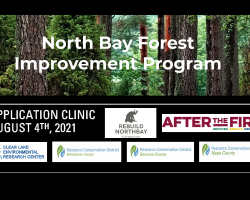 North Bay Forest Improvement Project event info, featuring logos of supporting organizations on a lush forest background.