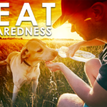 Heat Preparedness image of a person giving a dog some water with hot sun shining behind them
