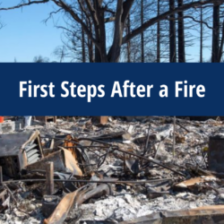 Burned trees and debris with the text First Steps After Wildfire across the center of the image.