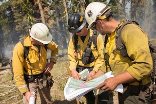 Group of firefighters looking over map