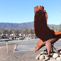 A large metal eagle sculpture stands before ruins and scorched trees under a clear blue sky, symbolizing hope and strength during wildfire recovery after the Cache Fire in Clearlake.