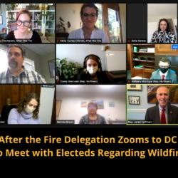 A Zoom meeting with nine participants discussing wildfire, featuring a headline about meeting elected representatives.