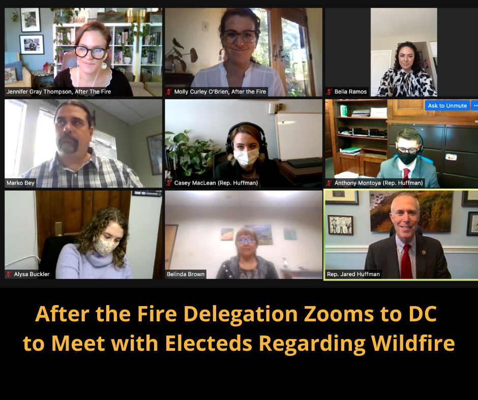 After the Fire Zoom Window with 9 participants on screen