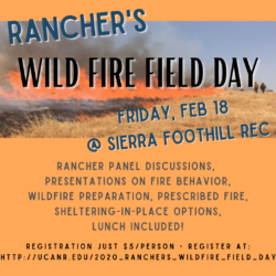 People observe orange flames and smoke in a grassland during a ranch wildfire under a clear blue sky, highlighting the challenges addressed at Ranchers Wildfire Field Day supported by the California Cattle Council.