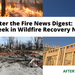 Collage of wildfire, burned neighborhood, rebuilding frame, and text about wildfire recovery digest from After the Fire.