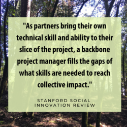 Quote on a green box in a forest: Backbone project managers provide leadership and administrative support, helping partners achieve collective impact through the forest improvement program by filling skill gaps.
