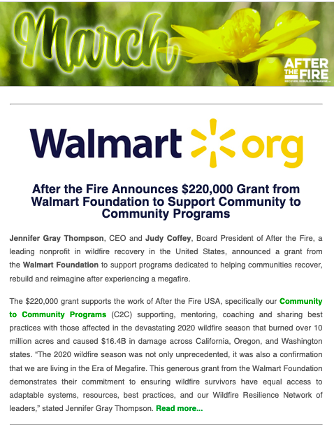 newsletter layout with floral border at the top and walmart logo