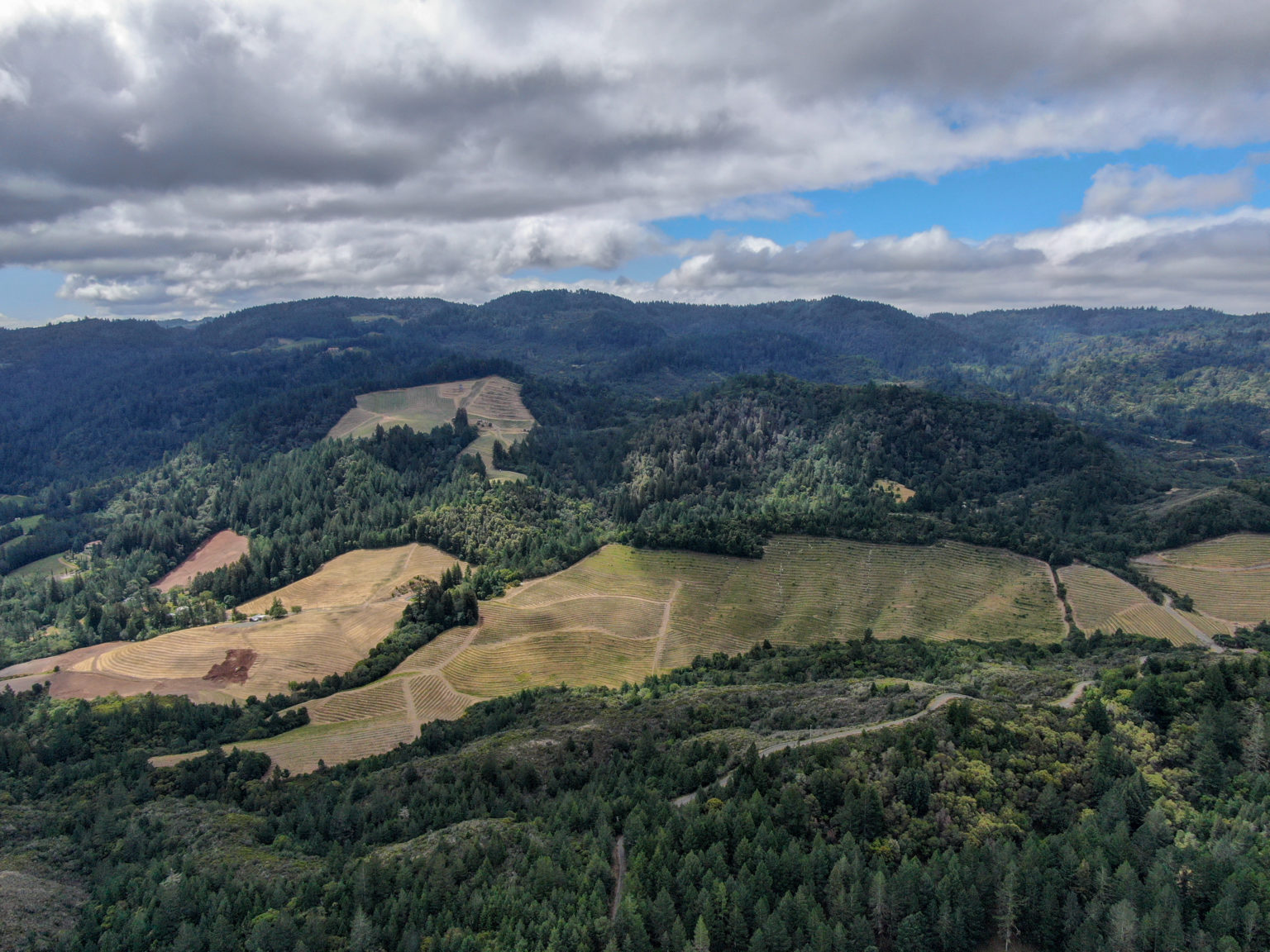 aerial view of napa landscape with forested mountain ridges and hillside vineyards