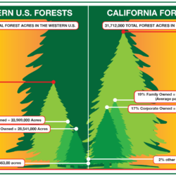 Infographic compares forest ownership in Western U.S. and California using large green trees, labeled statistics, and highlights the importance of forest improvement for effective vegetation management.