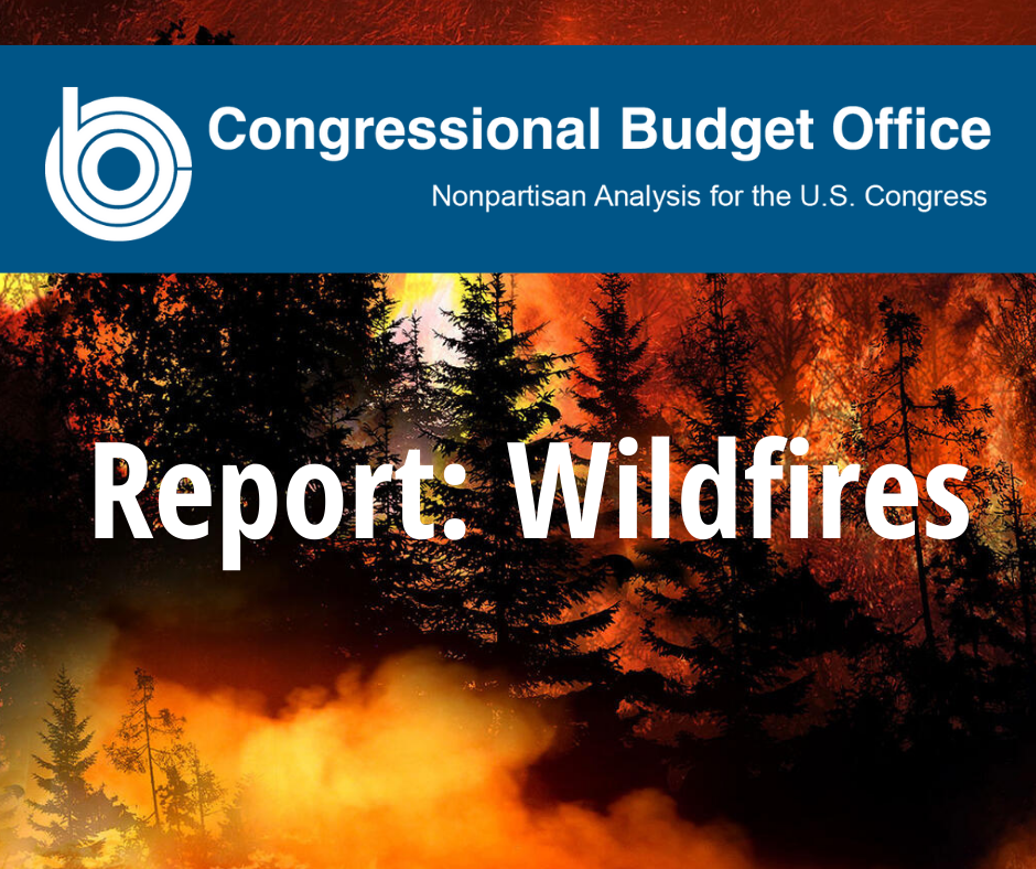 picture of raging forest fire with title in white letters Report: Wildfires