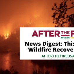 Wildfire burns in a forest at night as After the Fire wildfire recovery news digest covers updates on the McKinney Fire and highlights pressing forest management efforts.