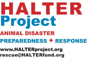 halter project logo
