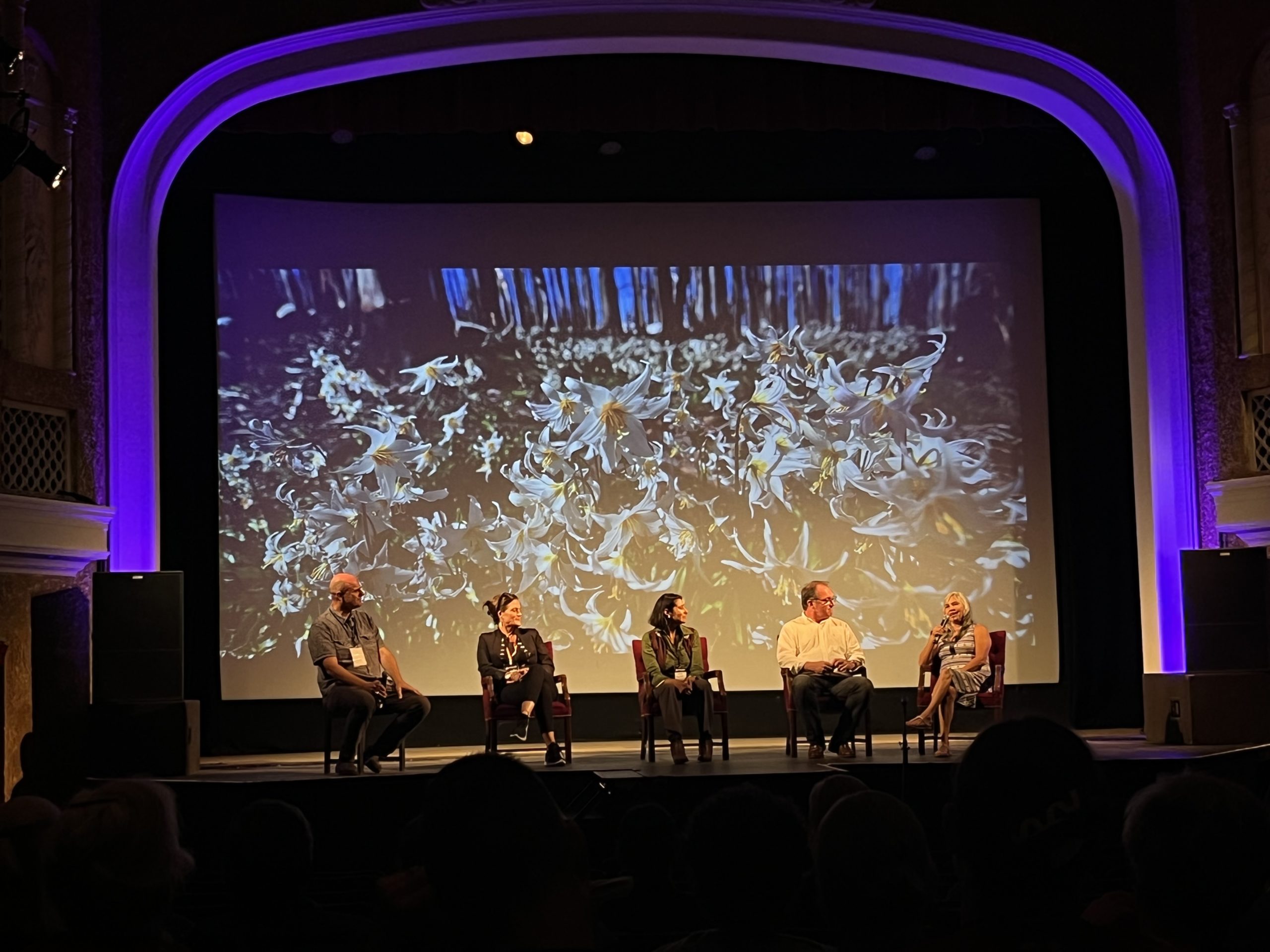 Following the film screening of Elemental, a panel fielded questions from the audience