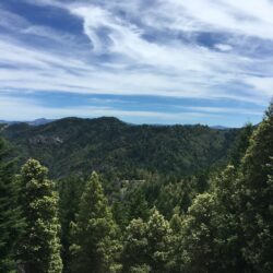 Green forested hills under a partly cloudy blue sky with wispy clouds showcase the resilience fostered by the North Bay Forest Improvement Program.