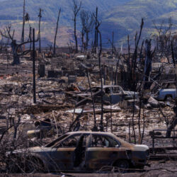 Burned cars and charred trees after a wildfire, with mountains in the background and widespread destruction.