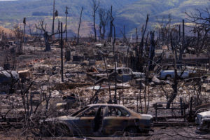 FILE PHOTO: Fire damage is shown in the Wahikuli Terrace neighborhood in the fire ravaged town of Lahaina on the island of Maui in Hawaii, U.S., August 15, 2023.  REUTERS/Mike Blake     TPX IMAGES OF THE DAY/File Photo