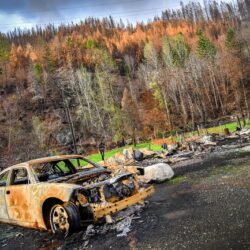 A burnt-out car sits in a charred landscape with damaged trees and debris after a wildfire.