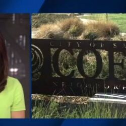 News anchor in green top reports next to an image of the Coffey Neighborhood Park sign in Santa Rosa.