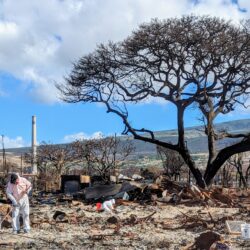 People in protective suits clear debris from a wildfire-damaged area with burnt trees and rubble, as the community rebuild continues under a blue sky.