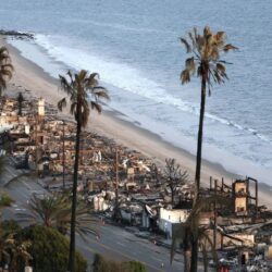Burned beachfront homes and palm trees line a beach after a wildfire, with debris scattered along the shore.
