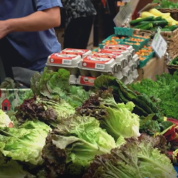 A person shops at a market stand with fresh leafy greens, eggs, and vegetables on display.