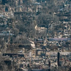 A devastated neighborhood with burned trees and buildings after a wildfire, showing widespread destruction.