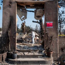 A person in protective gear stands amidst the burned ruins of a house, surrounded by charred debris and plants.