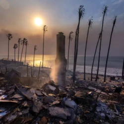 Ruins and charred palm trees by the sea at sunset, with smoke rising from debris after a fire.