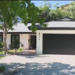 Single-story modern house with a black garage door, white exterior, and tree in the front yard.