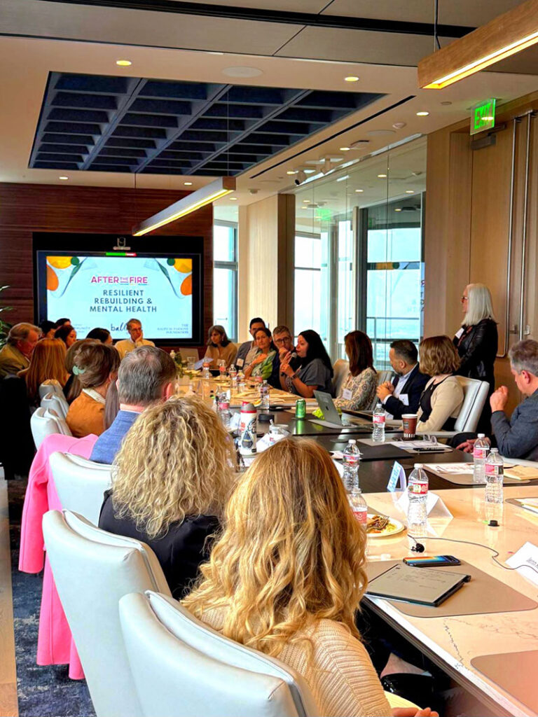 People seated around a conference table attend a Resilience & Mental Health presentation, exploring programs that support community to community well-being in a modern meeting room.