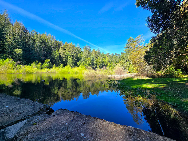 A calm lake reflecting green trees and a bright blue sky on a sunny day in a forest, where community to community programs flourished before the fire.