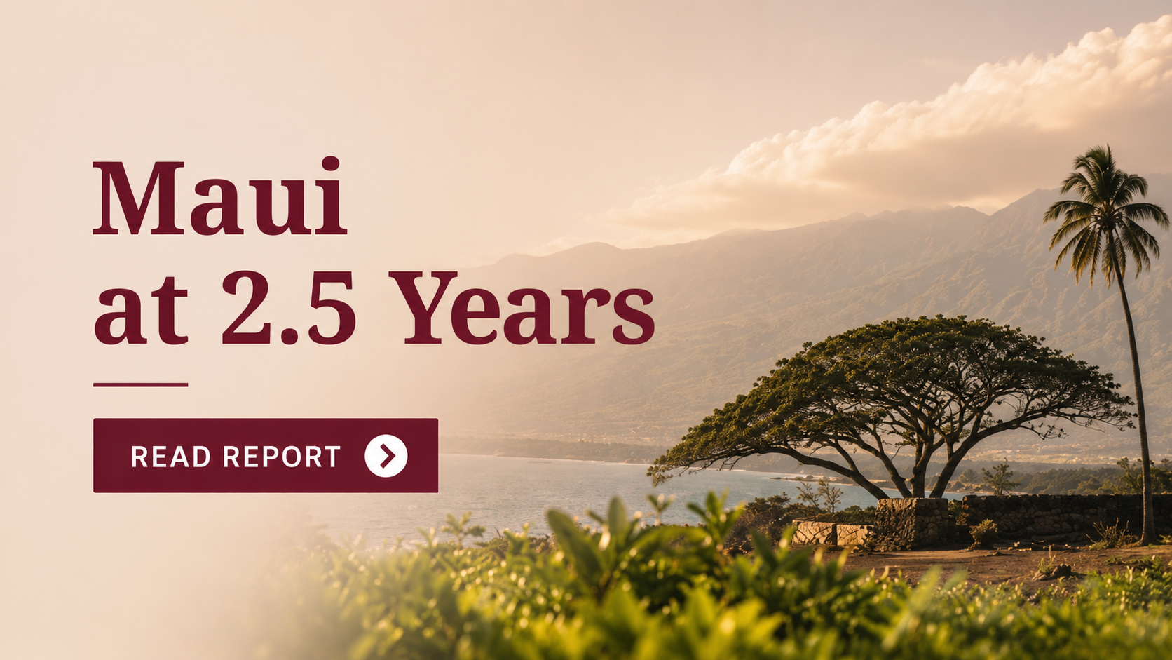 Text reads Maui at 2.5 Years. Read Report. Featuring a scenic view of mountains, ocean, and a large tree—showcasing community recovery after the fire.