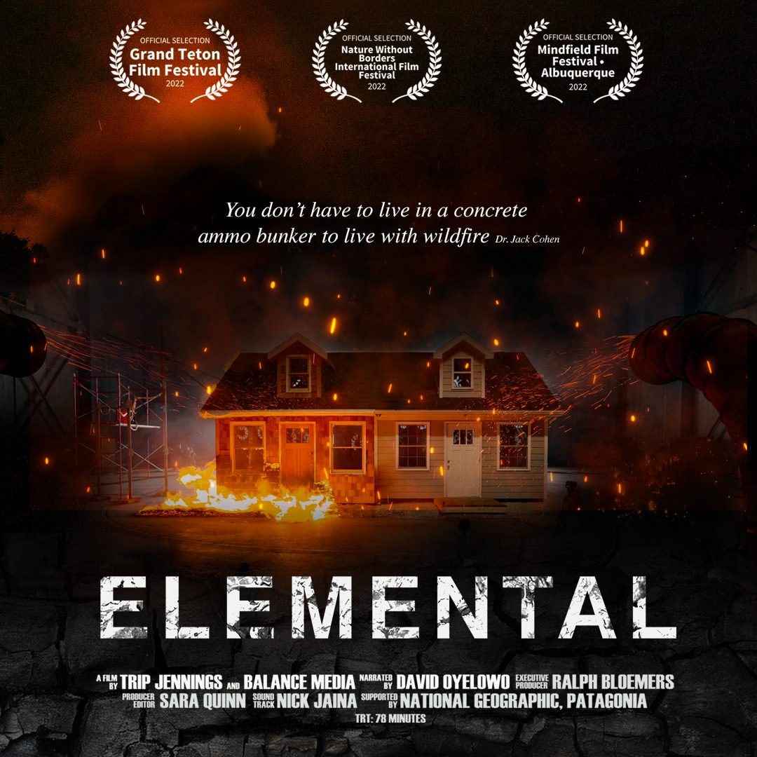 Elemental film promo graphic